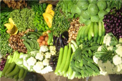 Gemüse: Lieferant für Ballaststoffe, Vitamine & Co.